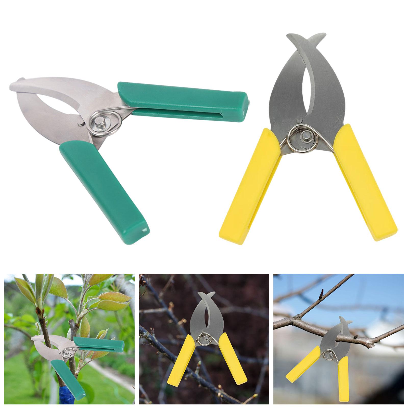 Gardening Tools Scissors - Ножницы для обрезки кольцевых гавков, ножницы