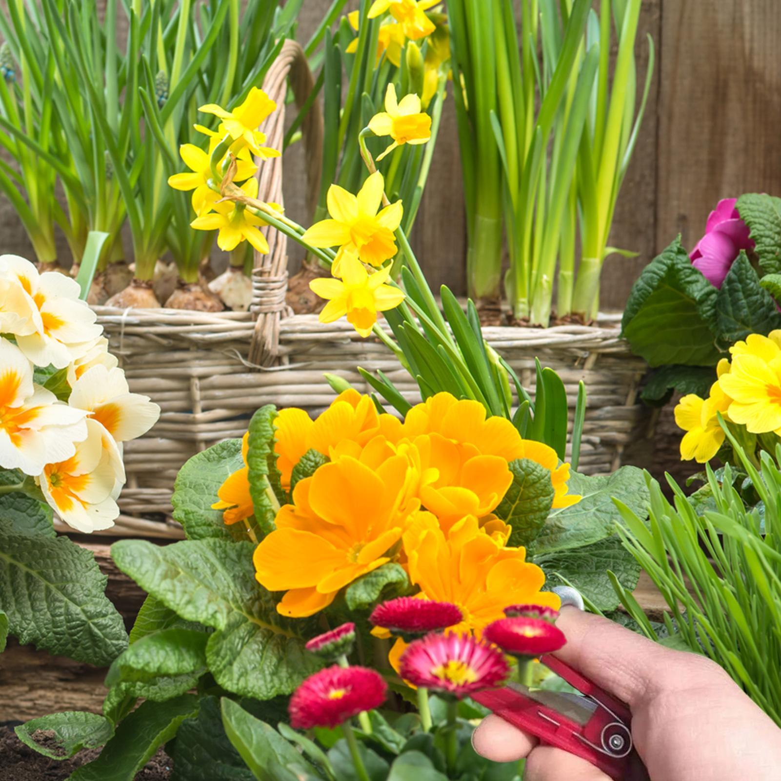 Многофункциональный нож-наперс – обзор и цена Gardening Tools Knife