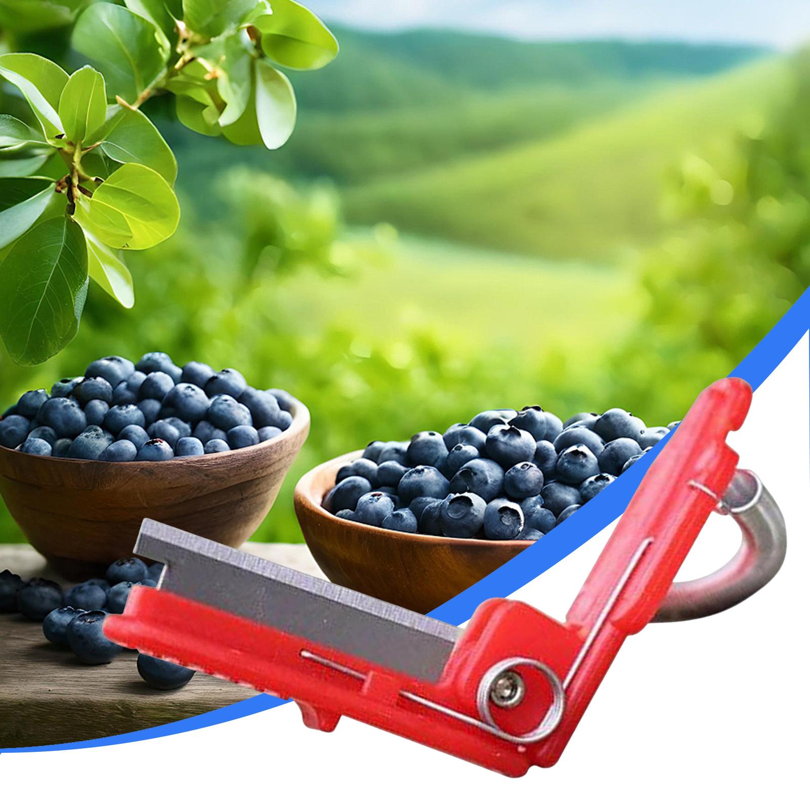 Многофункциональный нож-наперс – обзор и цена Gardening Tools Knife