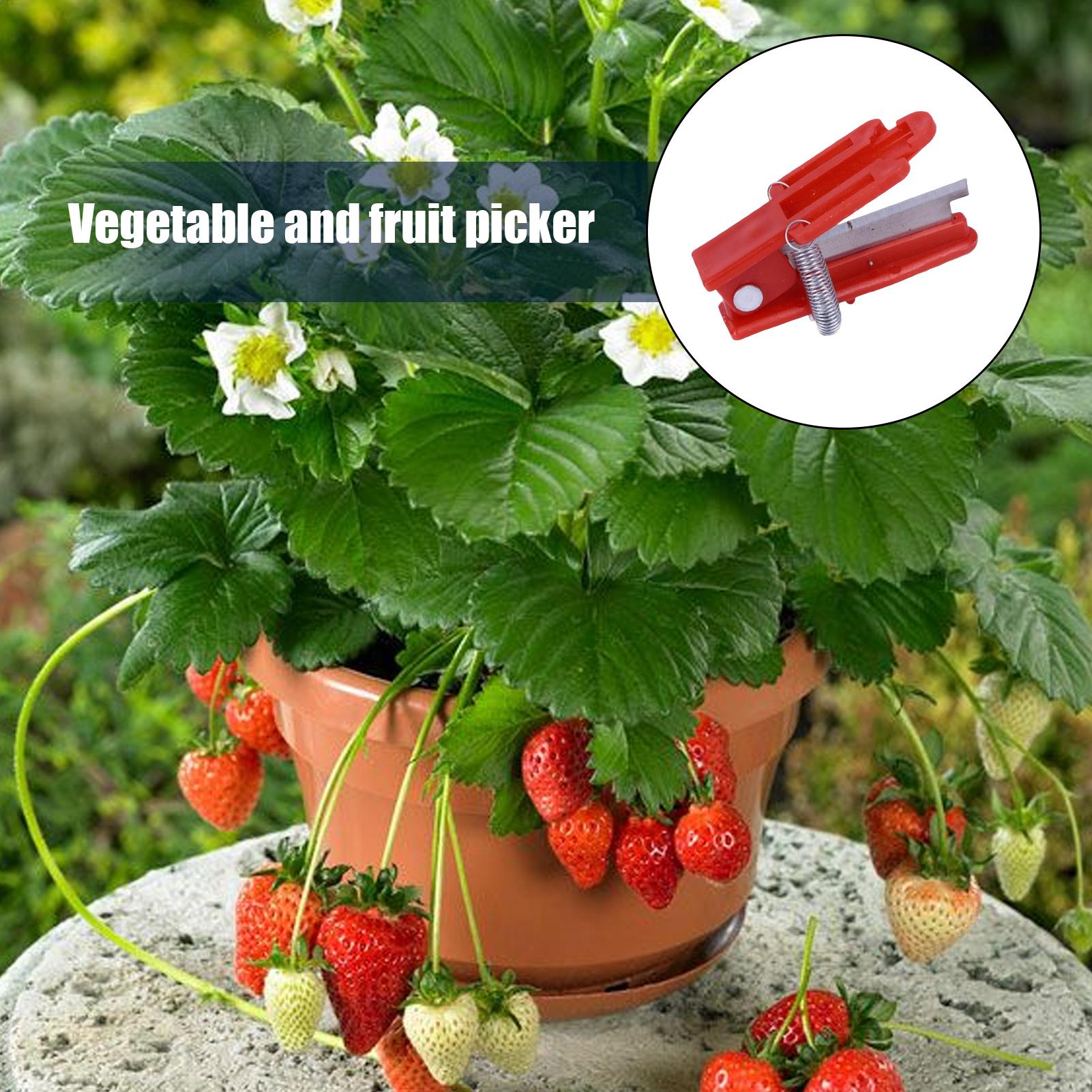 Многофункциональный нож-наперс – обзор и цена Gardening Tools Knife