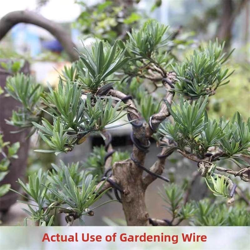 Алюминиевая проволока для бонс – обзор и цена Gardening Tools And Uses