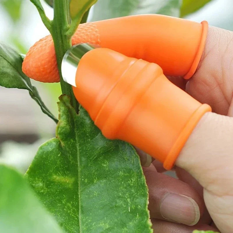 Нож-напальчник для сбора овоще – обзор и цена Gardening Tools Knife