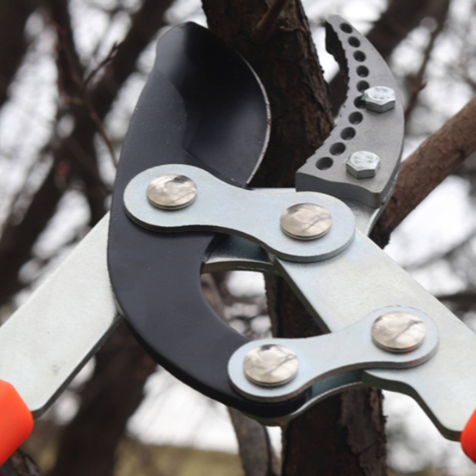Телескопические секаторы для в – обзор и цена Gardening Tools