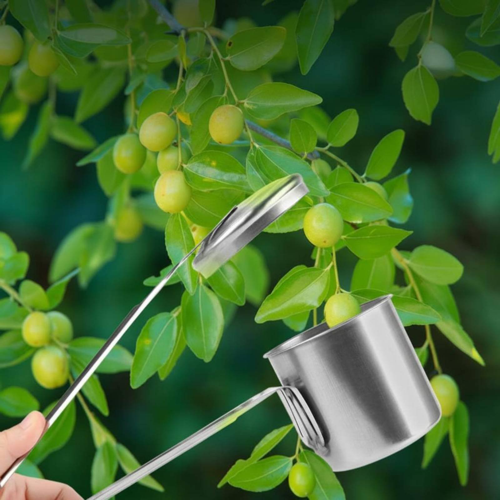 Совок для сбора фруктов из нер – обзор и цена Gardening Tools And Uses