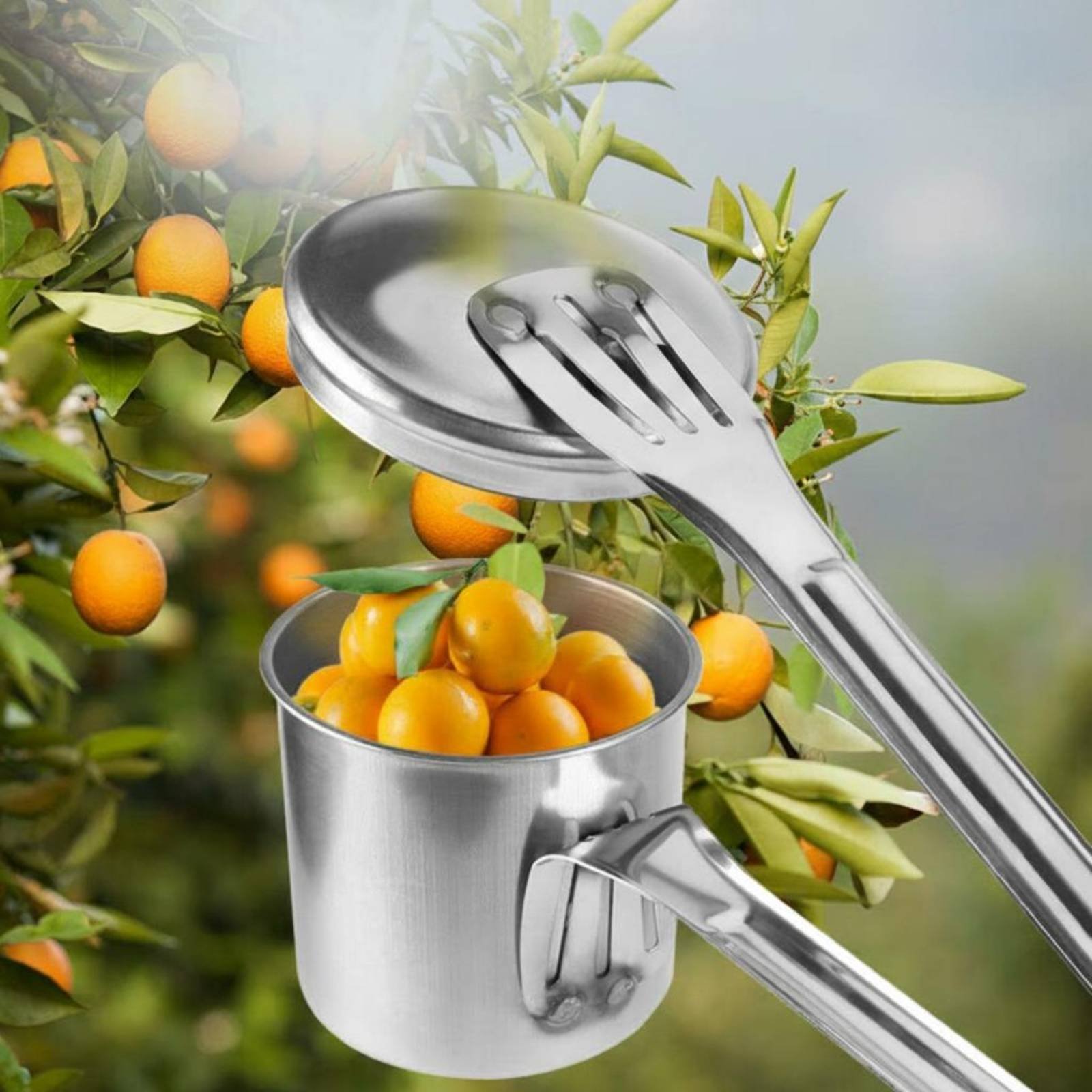 Совок для сбора фруктов из нер – обзор и цена Gardening Tools And Uses