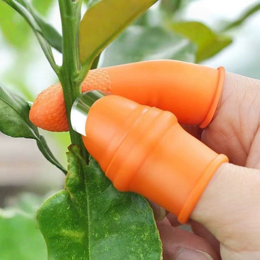 Нож для сбора овощей из нержав – обзор и цена Gardening Tools Knife