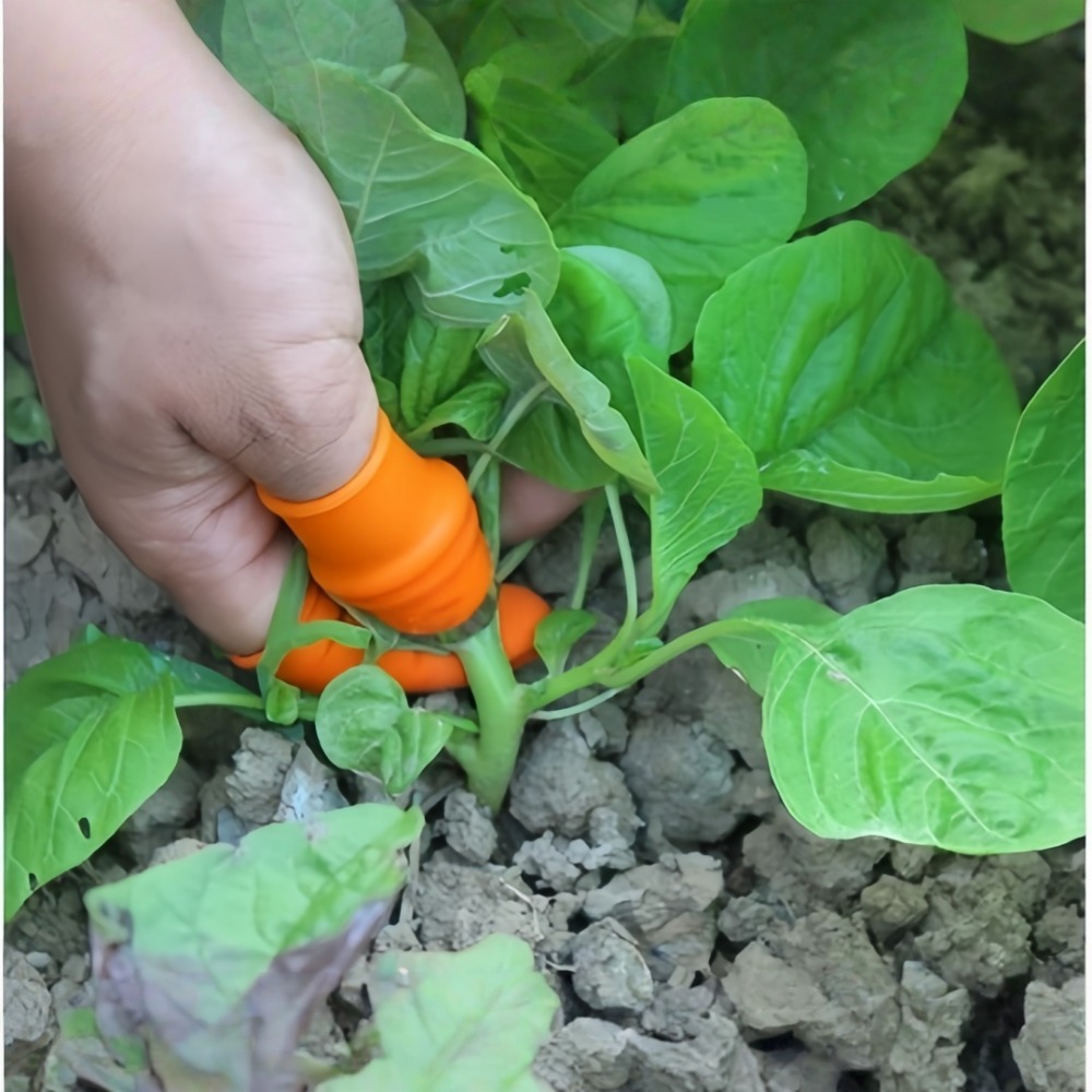 Нож для сбора овощей из нержав – обзор и цена Gardening Tools Knife